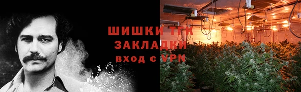прущие грибы Хадыженск