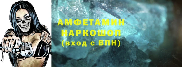 прущие грибы Хадыженск