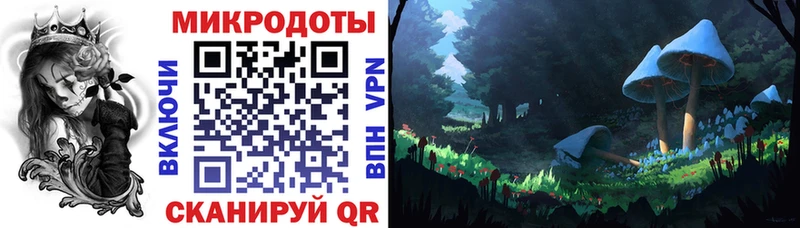 Псилоцибиновые грибы Psilocybe  закладки  Малмыж 
