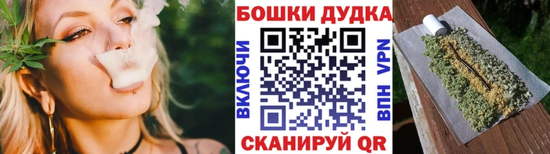 кракен зеркало  дарнет шоп  Малмыж  Каннабис сатива 